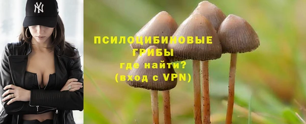 ALPHA PVP Лабытнанги