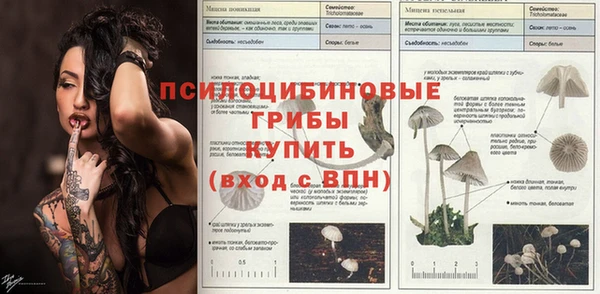 альфа пвп Лагань