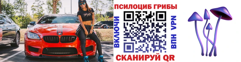 Галлюциногенные грибы мицелий  Малгобек 